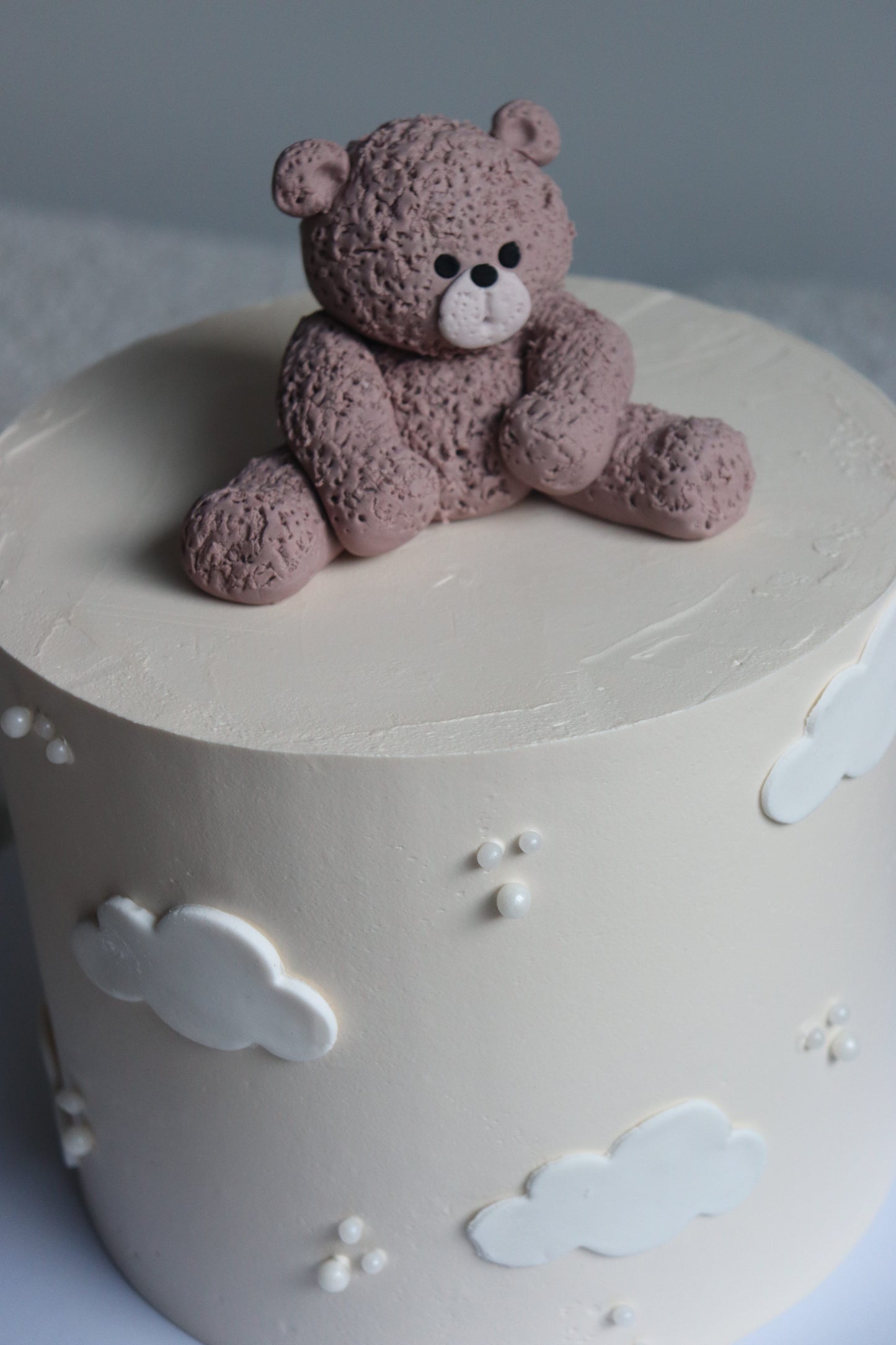Mr Teddy